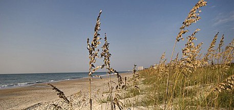 Beach Information