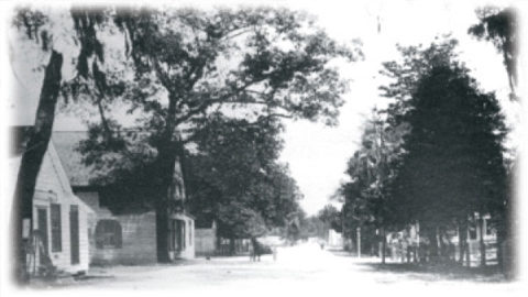 Historic Haunted Bluffton. a black and white photo of a street
