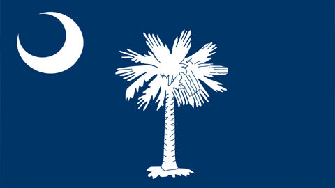 Facts about South Carolina. white palmetto tree and a moon