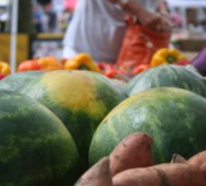 Fun Things to Do in Bluffton farmers market