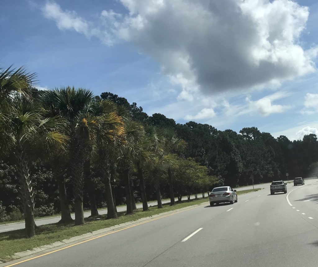 The Bluffton Parkway cars on road with palm trees