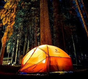 Camp the Lowcountry this Season! tent at night under the sky