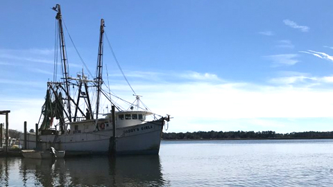 History of shrimping. A shrimp boat on a calm river and blue skies